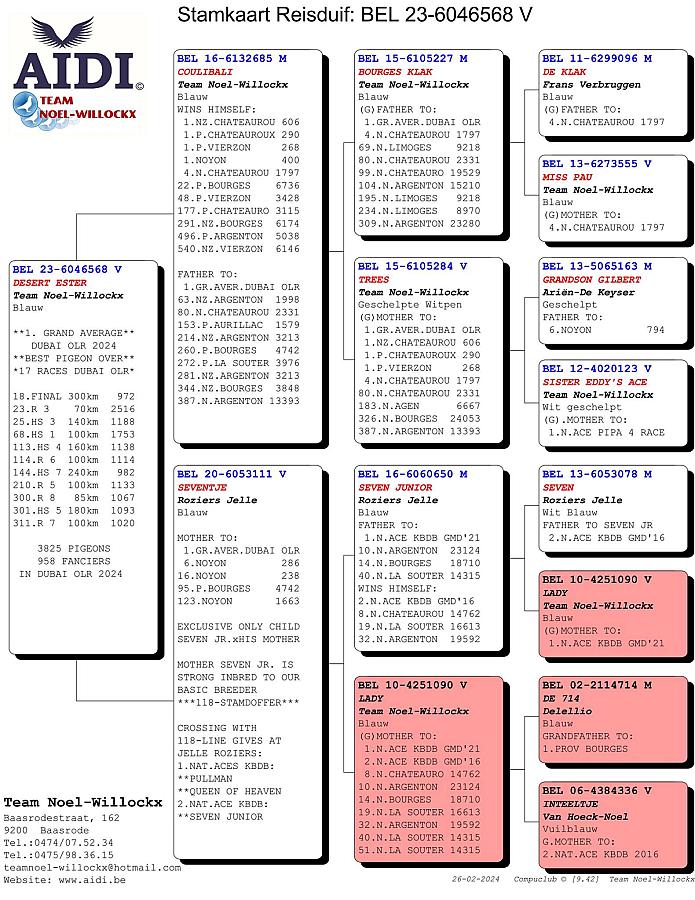 Super reference from my friends Team Noël-Willockx!