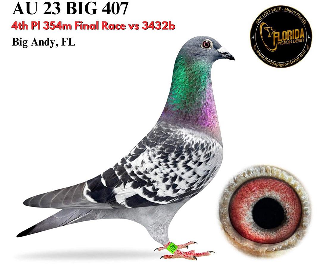 More super references from US !