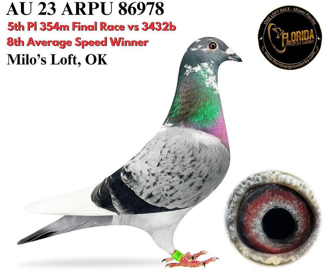 More super references from US !