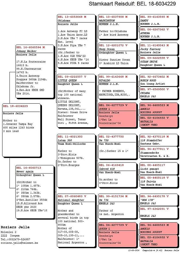 Tom & Tyler Pantley (Tampa, Florida) win 1. Greater Tampa Bay Combine