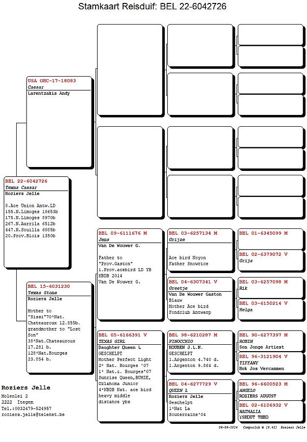 After a very succesfull national race from Bourges (501km), national result: 10-88-98-107-131