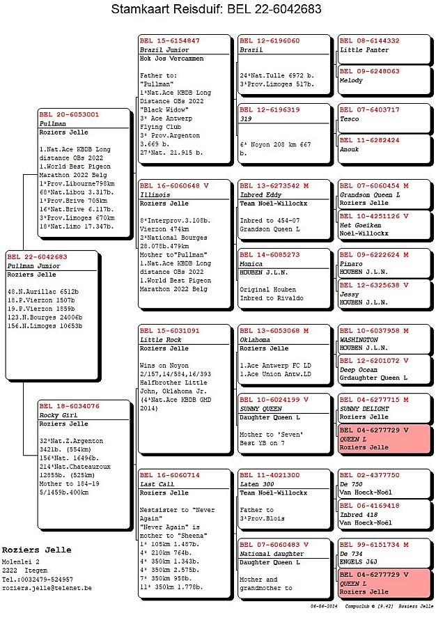 After a very succesfull national race from Bourges (501km), national result: 10-88-98-107-131