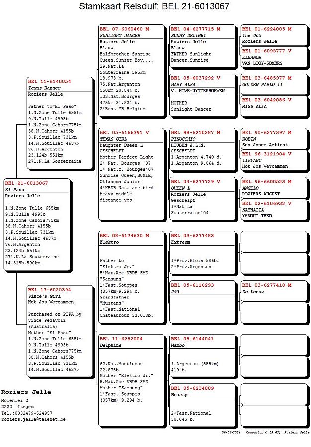 After a very succesfull national race from Bourges (501km), national result: 10-88-98-107-131