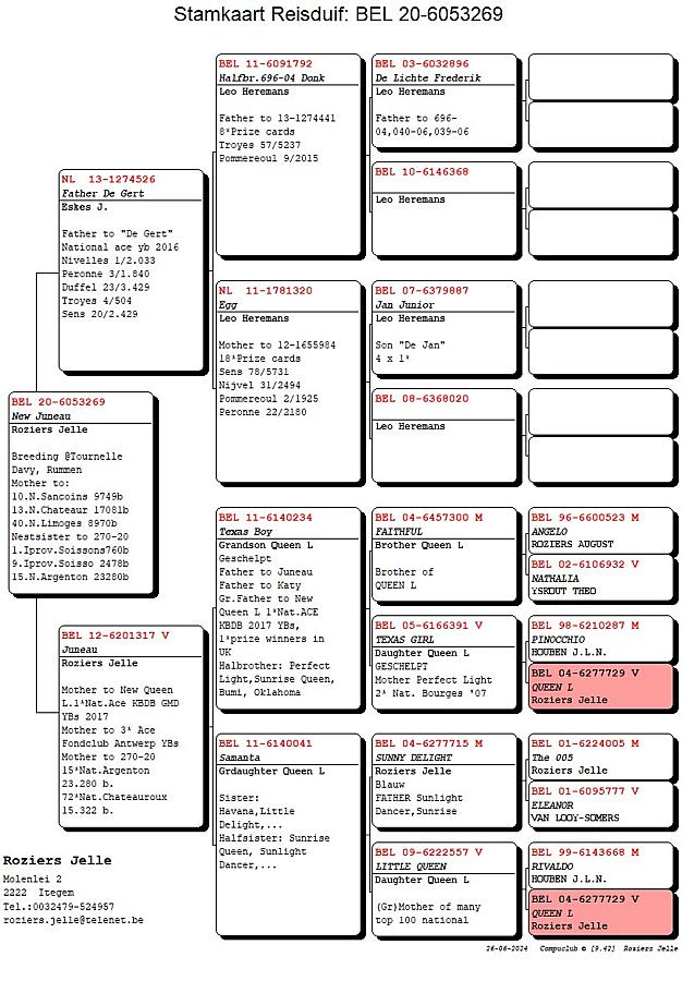 Also in other lofts New Queen L bloodline brings success.