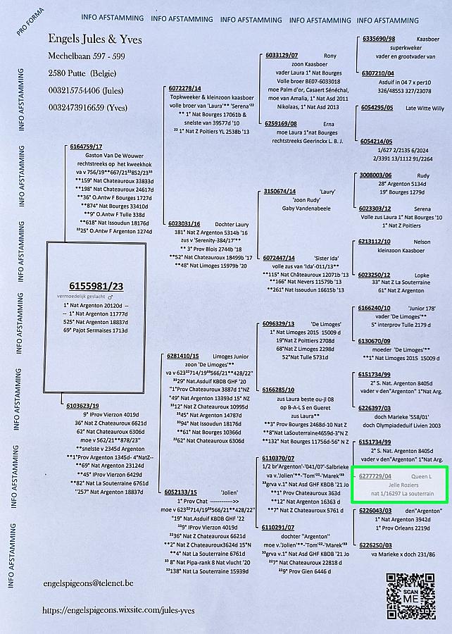 Nice references this weekend.