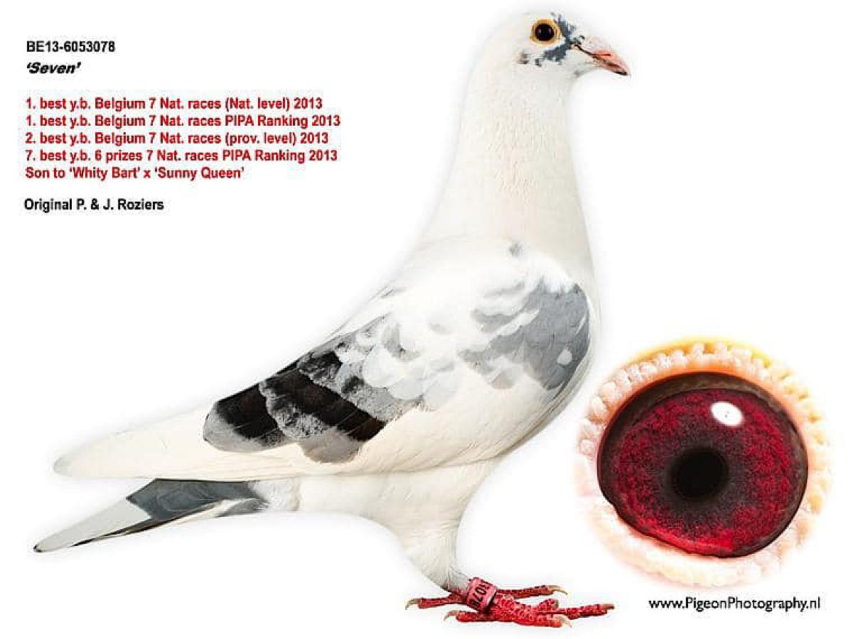 Super references in Hoosier Classic