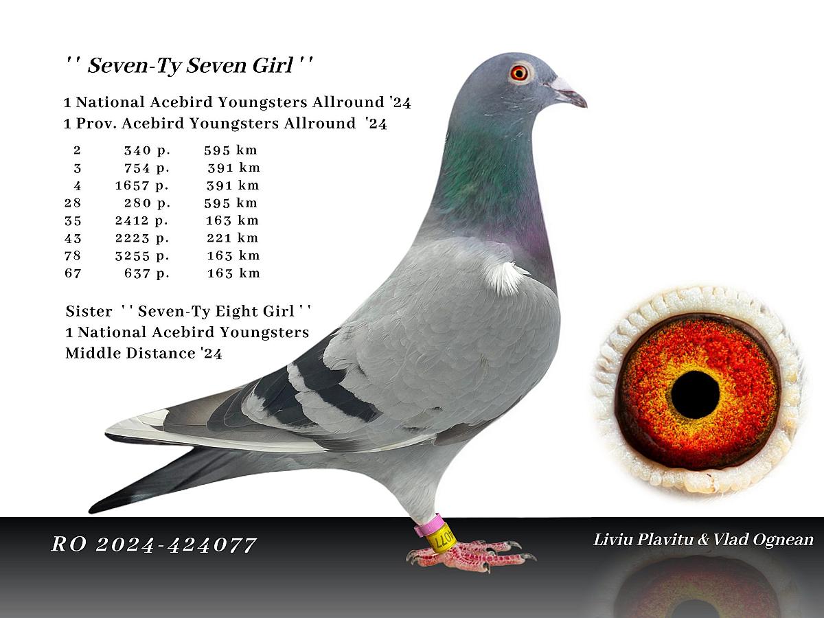 Super reference from Romania.