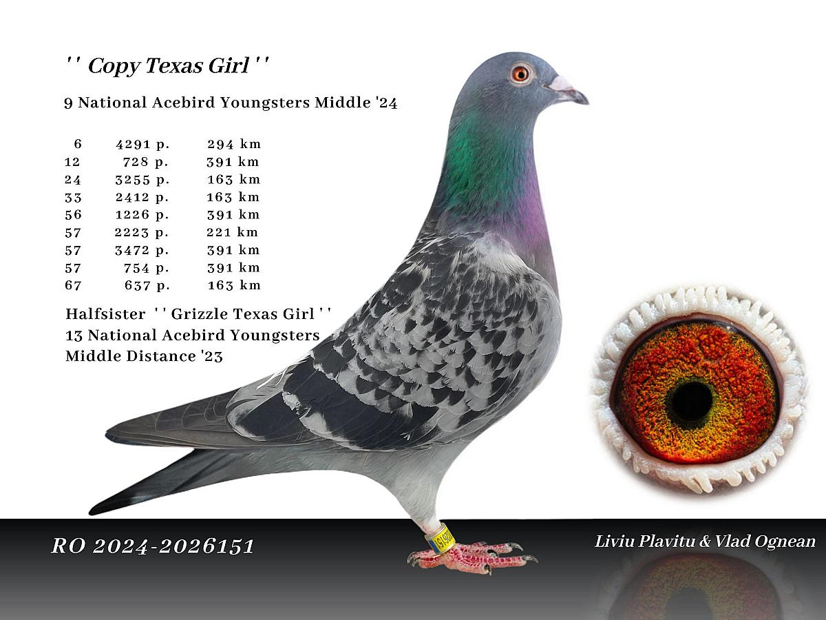 Super reference from Romania.