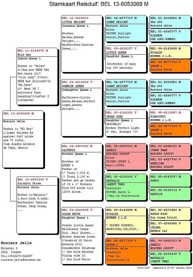 “El Rey” wins 1. Lugar Palomas As against 2,447 pigeons and 70 lofts.