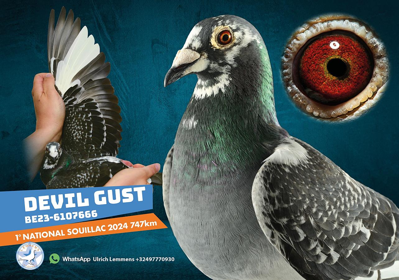 Another super reference!