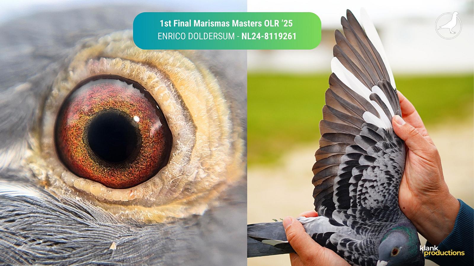 The oneloftrace references keep pouring in.