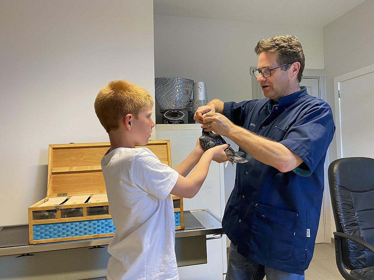 Gust at the vet for a checkup before the national races starts