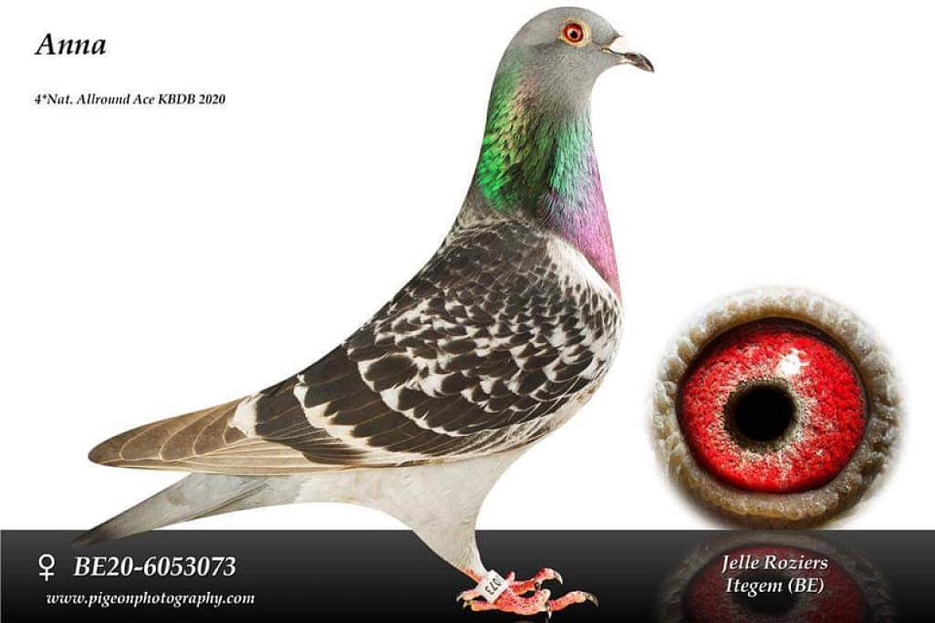 Friendship with great people.