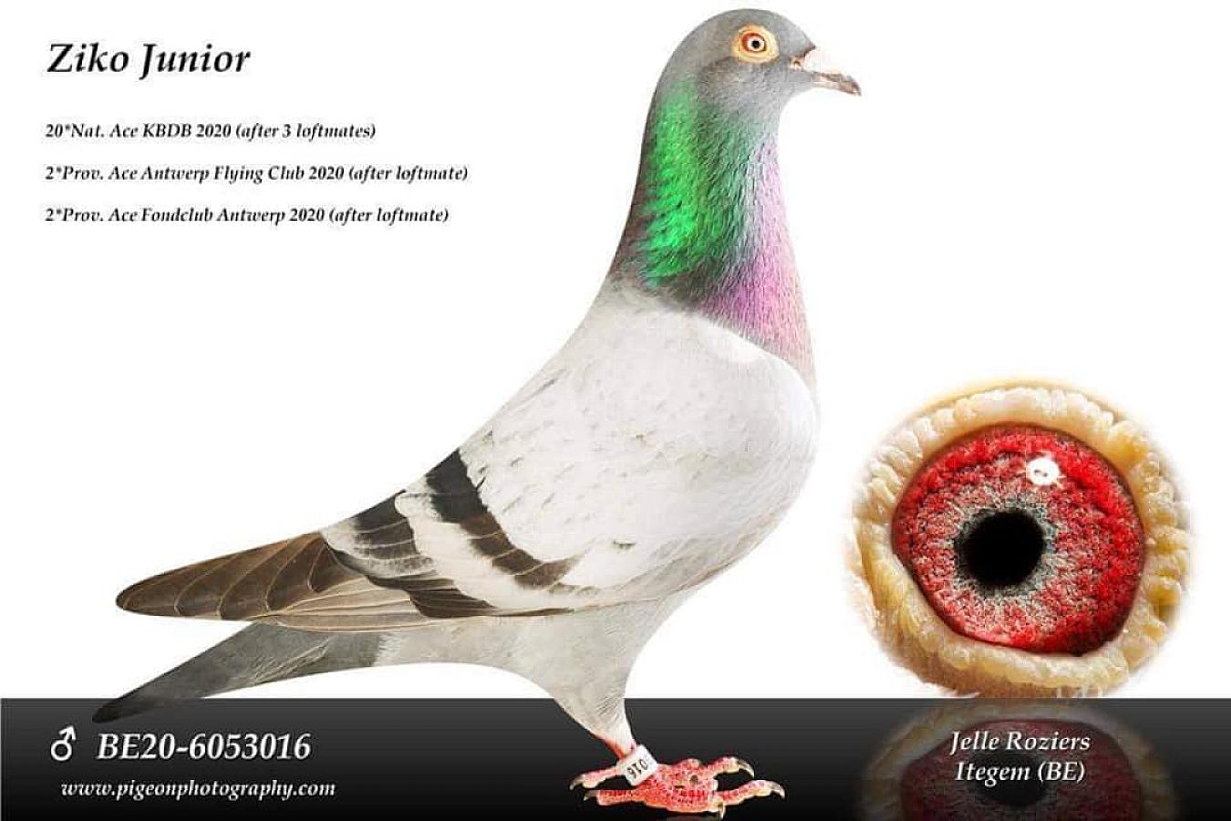 Friendship with great people.