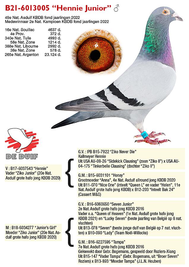 ROZIERS-XIANG - 1e Nat. Asduif Fond oude en 2e Nat. Kampioen Fond jaarse 2022