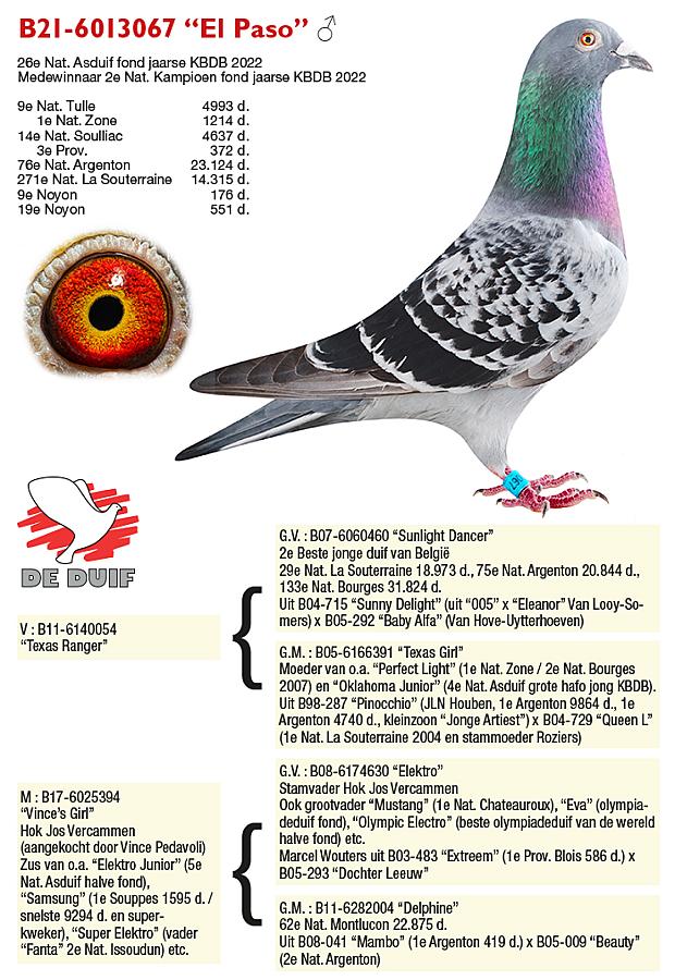 ROZIERS-XIANG - 1e Nat. Asduif Fond oude en 2e Nat. Kampioen Fond jaarse 2022