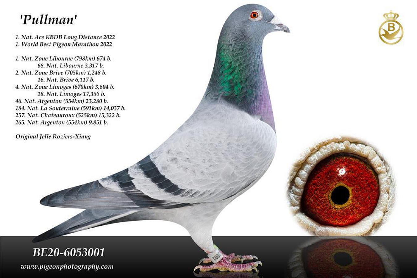 “Pullman” crowned to