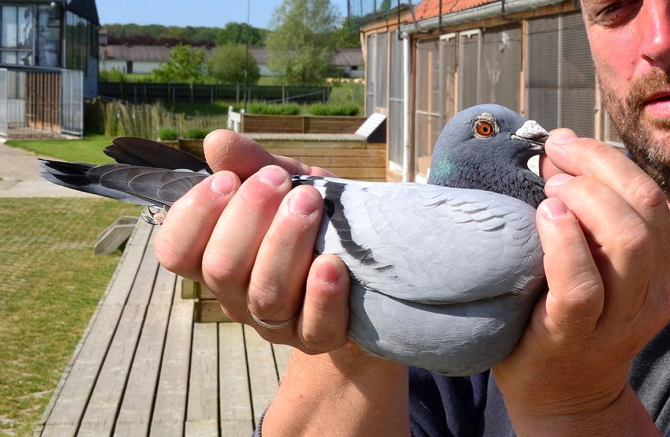 First national race in racing season 2023 and first victory!