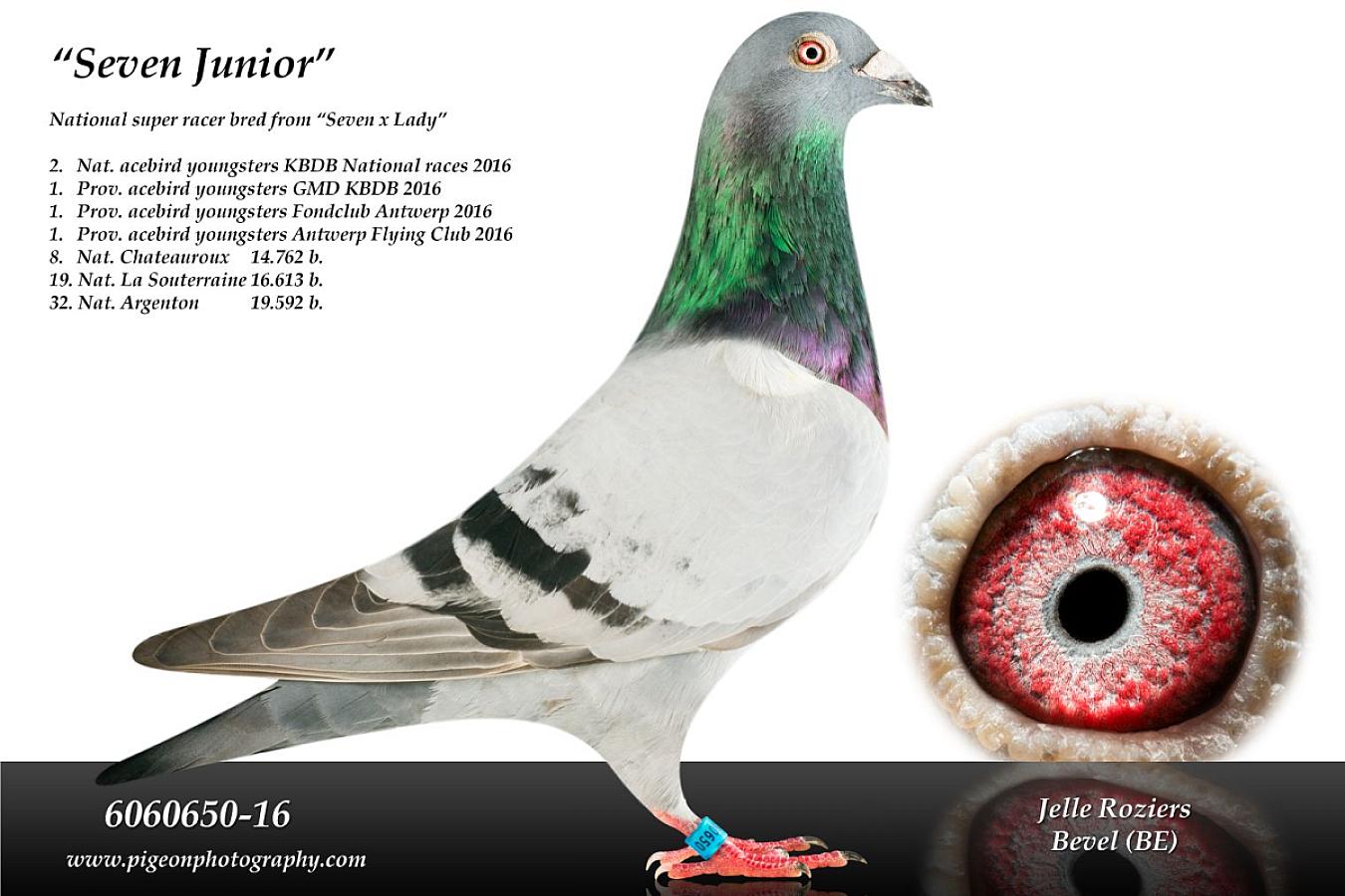 Our friend Hok Van den Bruel (Itegem, BE) won last weekend 2nd provincial Bourges