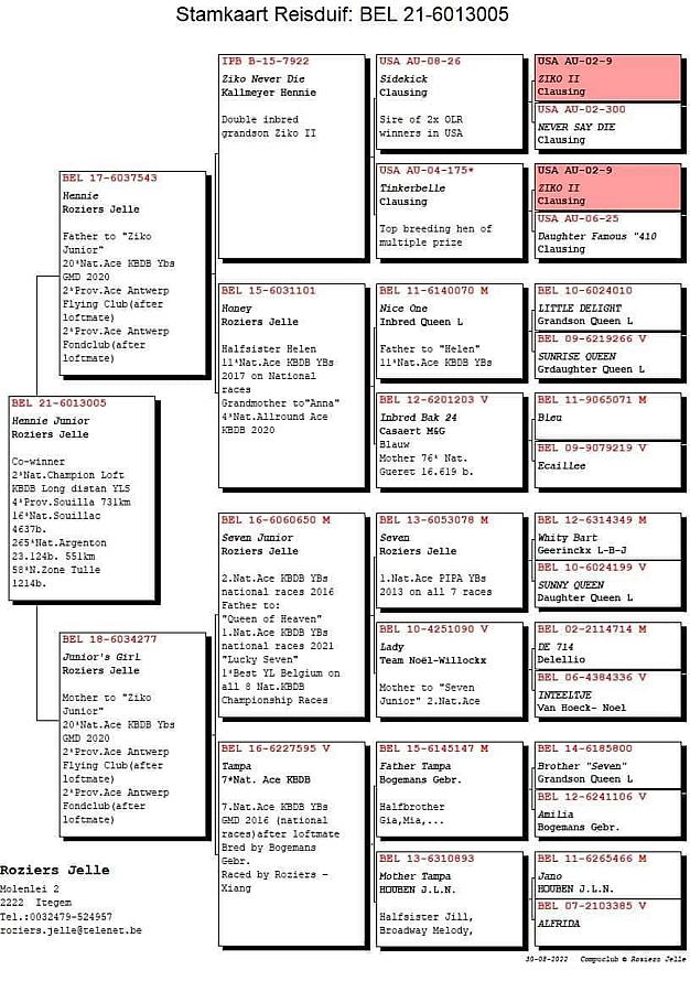BE21-6013005, won 1st Provincial Limoges - Hennie Junior