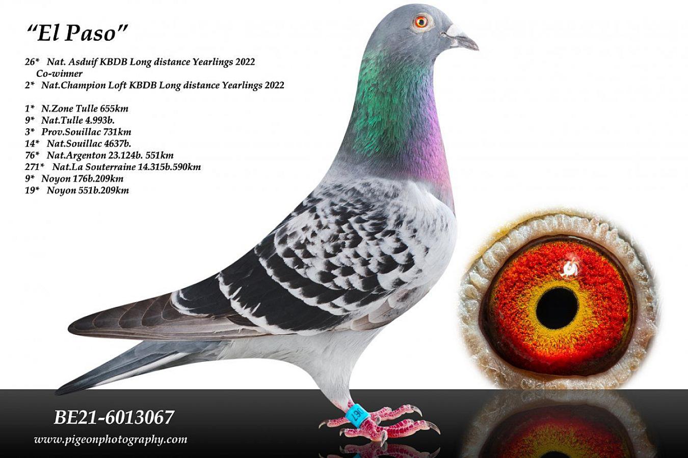 UPDATE: El Paso won 1st Nat. Zone Cahors.