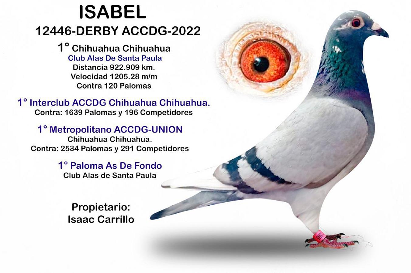 Nice reference from Isaac Carrillo (Mexico)