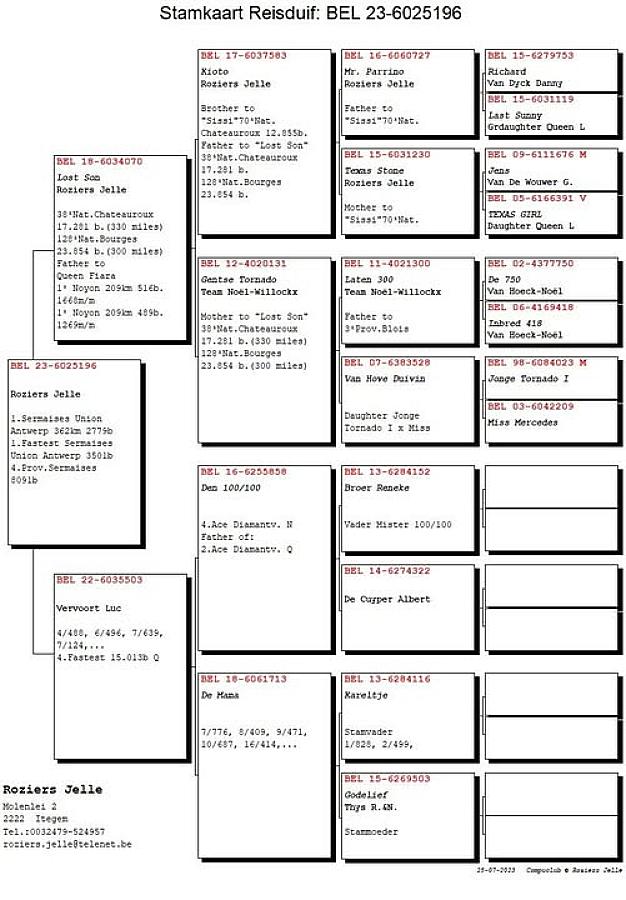 Last weekend BE23-6025196 won 1. prize Sermaises (362km) against 2,779 young birds and fastest of 3,501 birds.