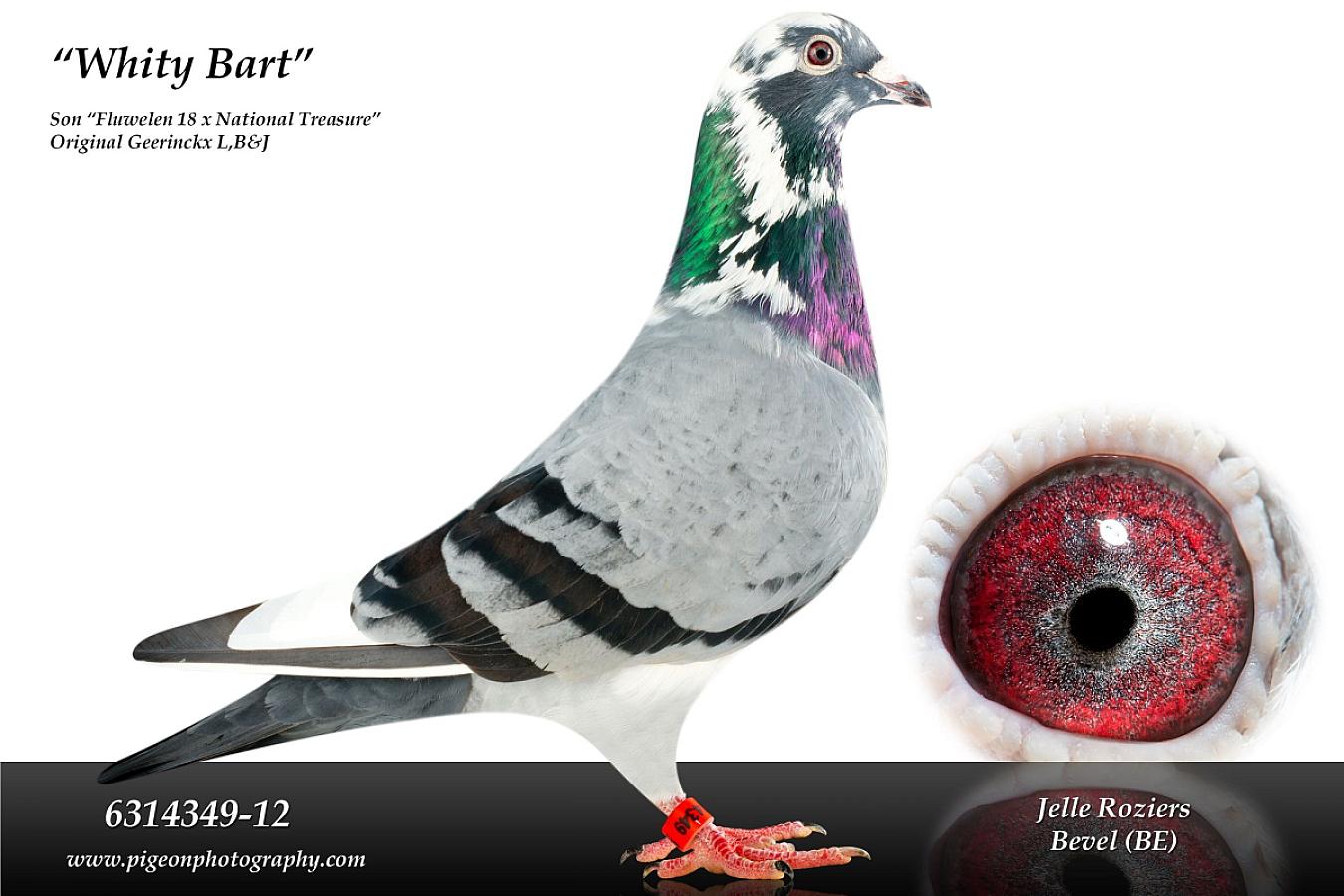 Since this year we participate in some OLR.