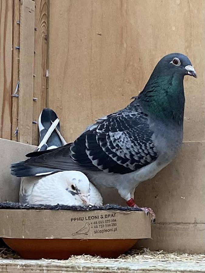 Happy New Year and best wishes for 2024 🎊🎊