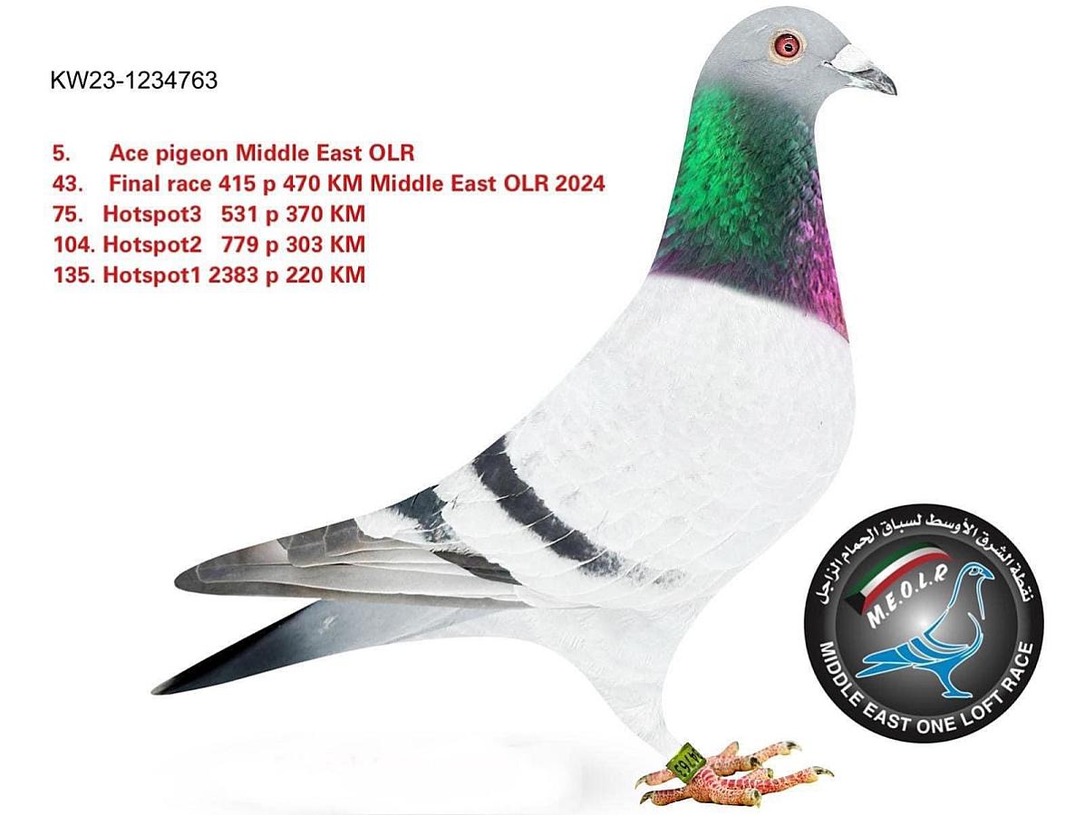 Another nice reference from Kuwait! Adel Alhadiyah Loft from Kuwait wins 5. Ace in the Middle East Oneloftrace.