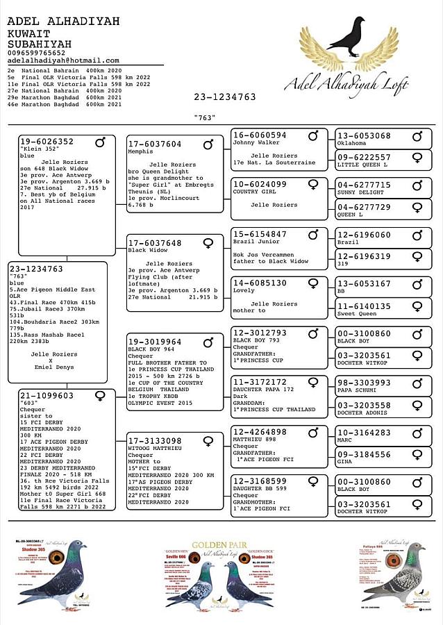 Another nice reference from Kuwait! Adel Alhadiyah Loft from Kuwait wins 5. Ace in the Middle East Oneloftrace.