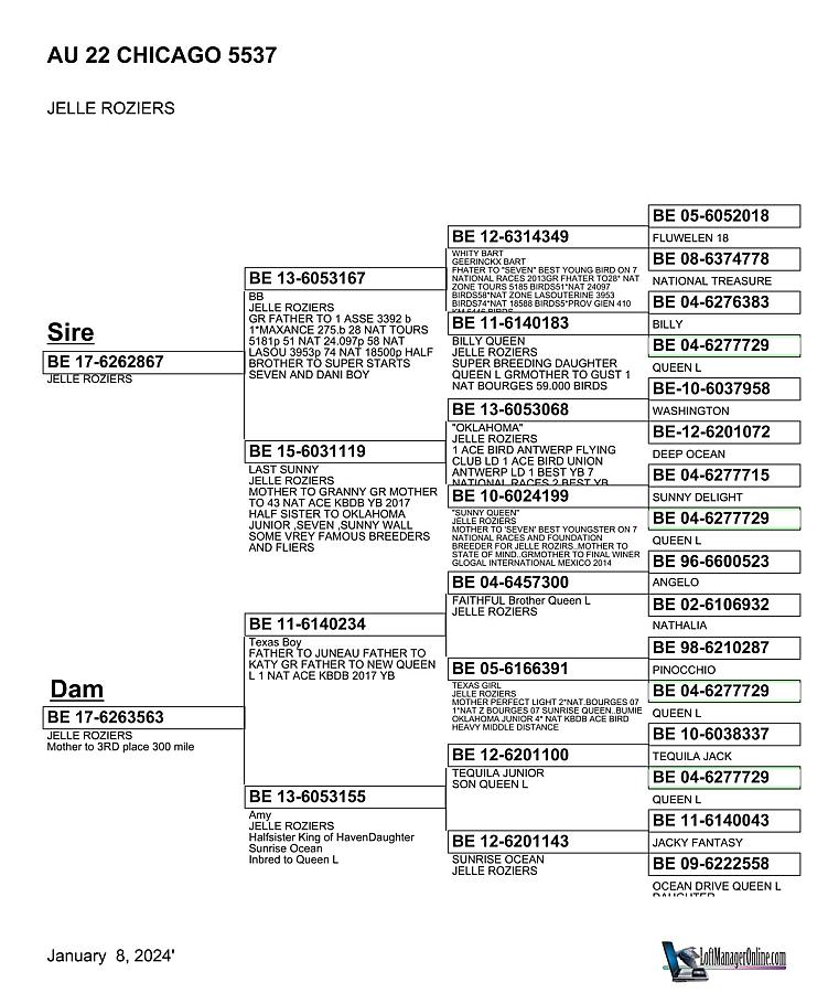 Amazing references in the Black Gold Race in Texas (US) !